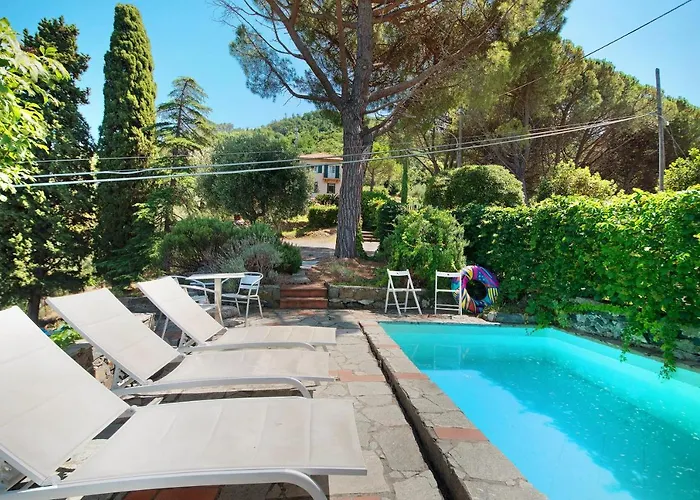 Mesco ليفانتو