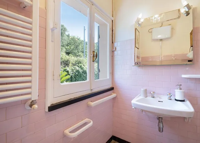 فيلة Mesco ليفانتو