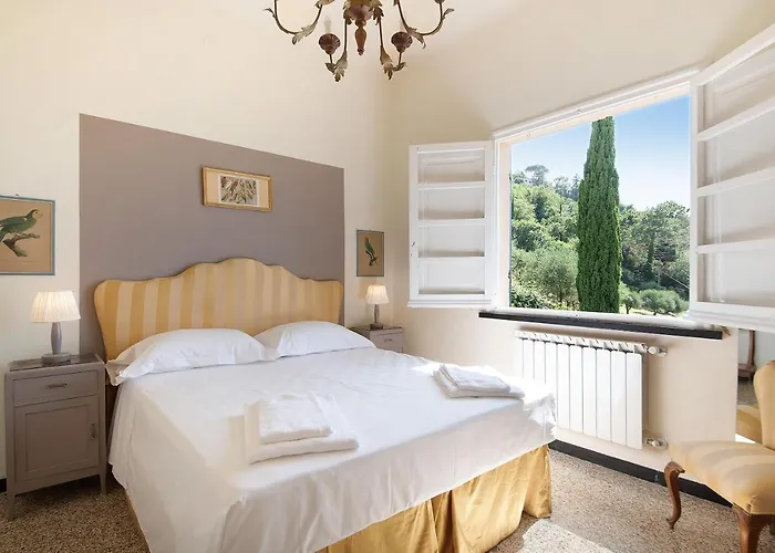 Mesco ليفانتو